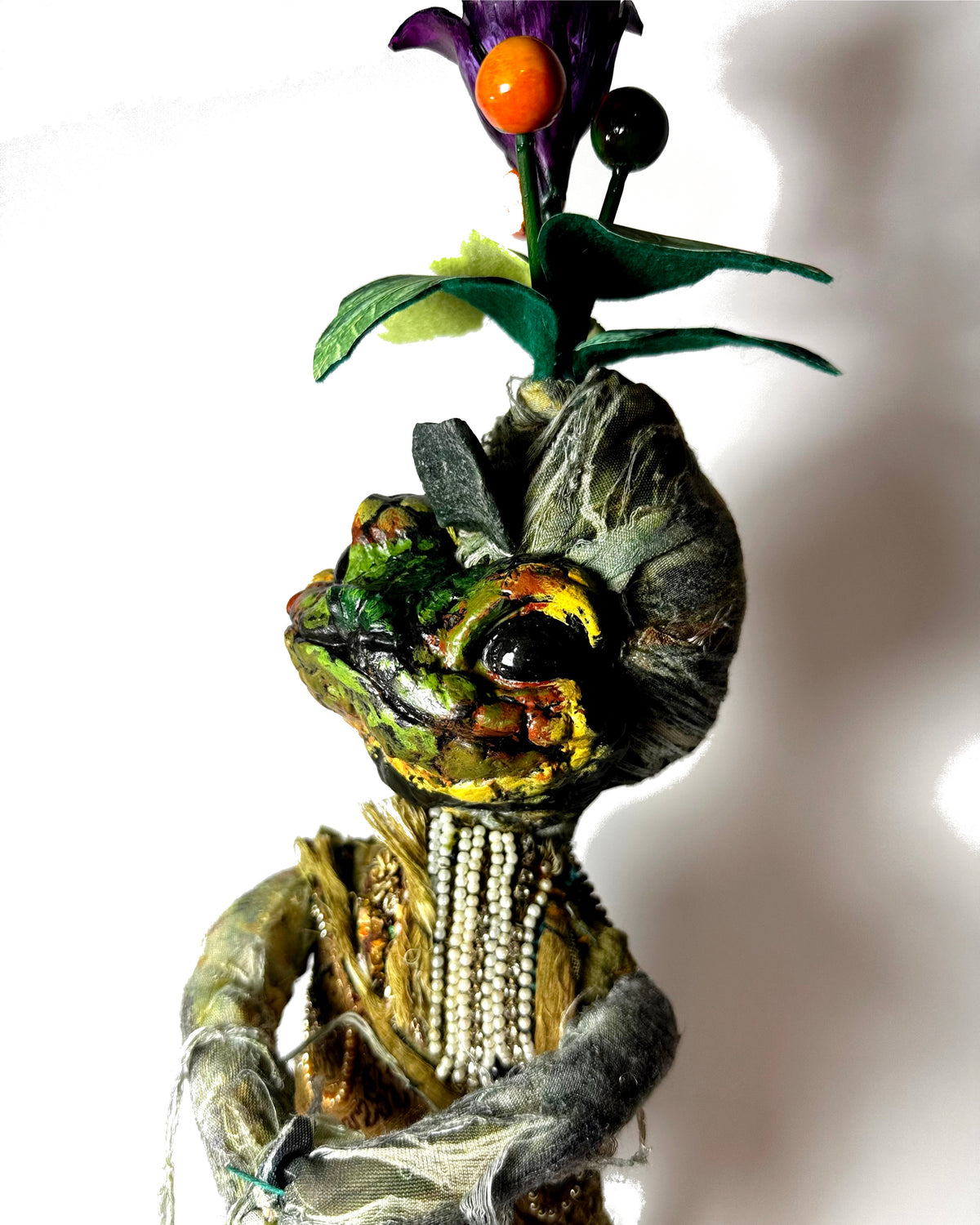 Cvltvs Bvfonidae MANDRAKE TOAD I
