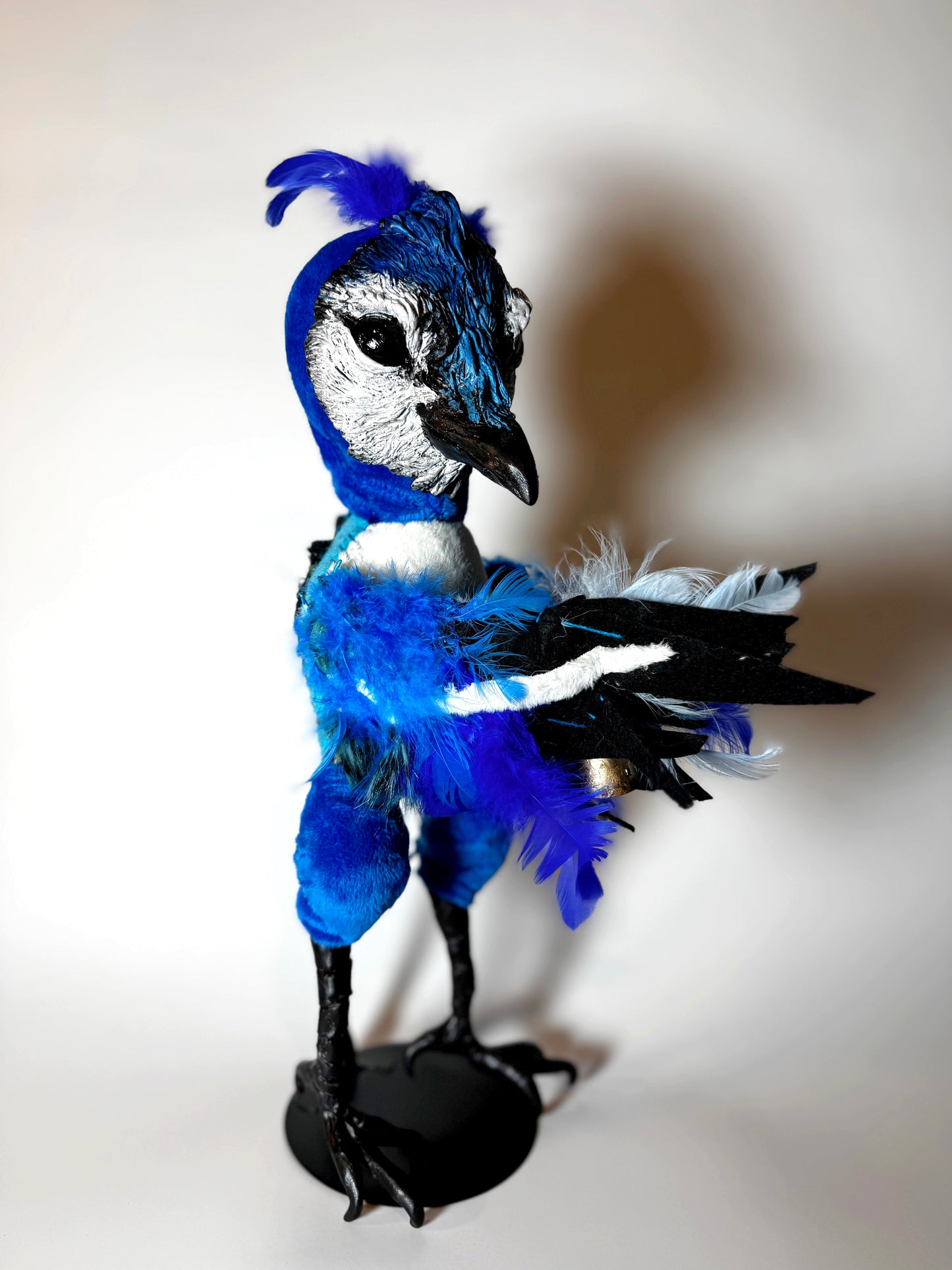 Blue Jay Poppet