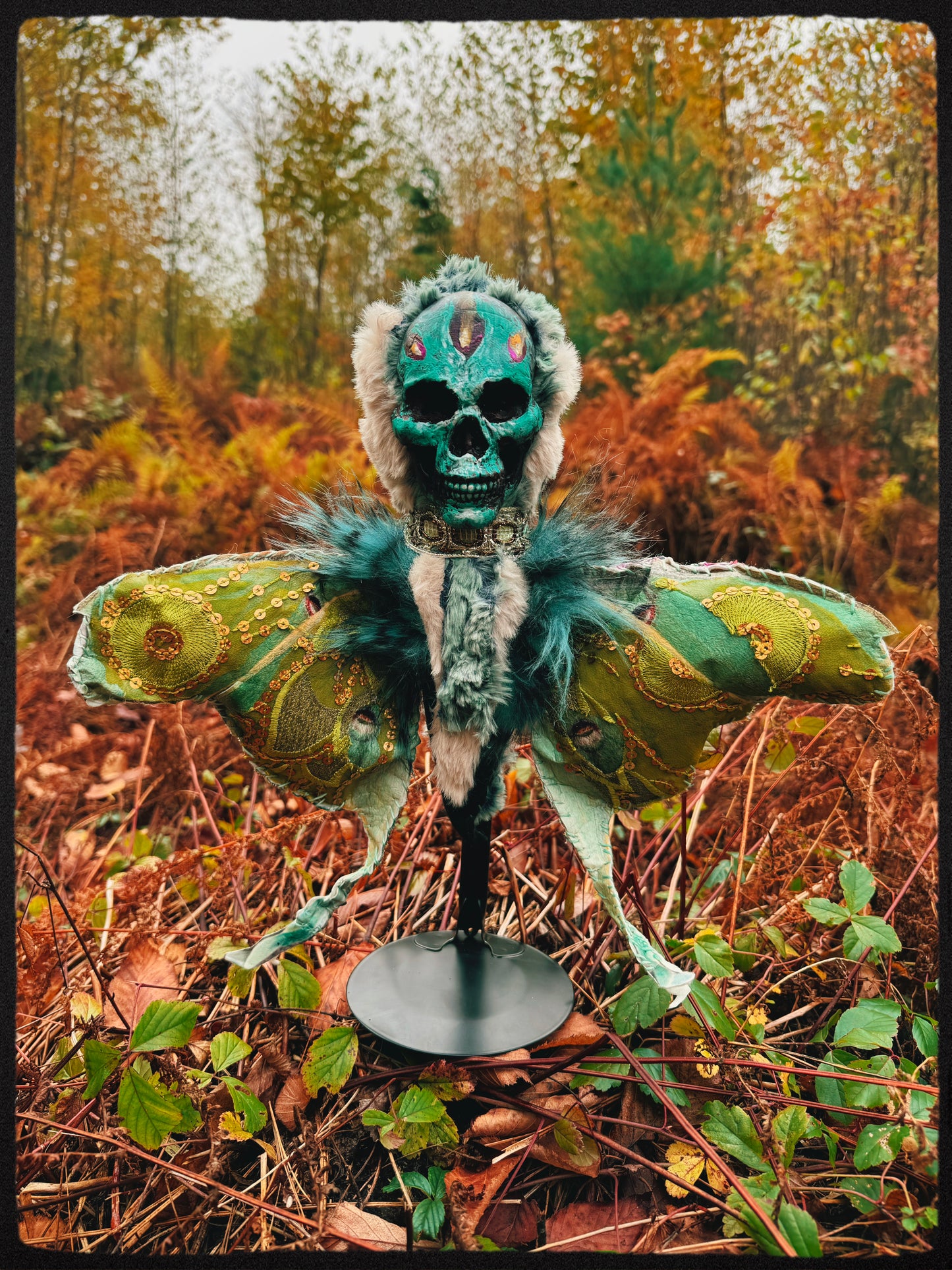 Moth Poppet - Luna Moth (Actias luna)