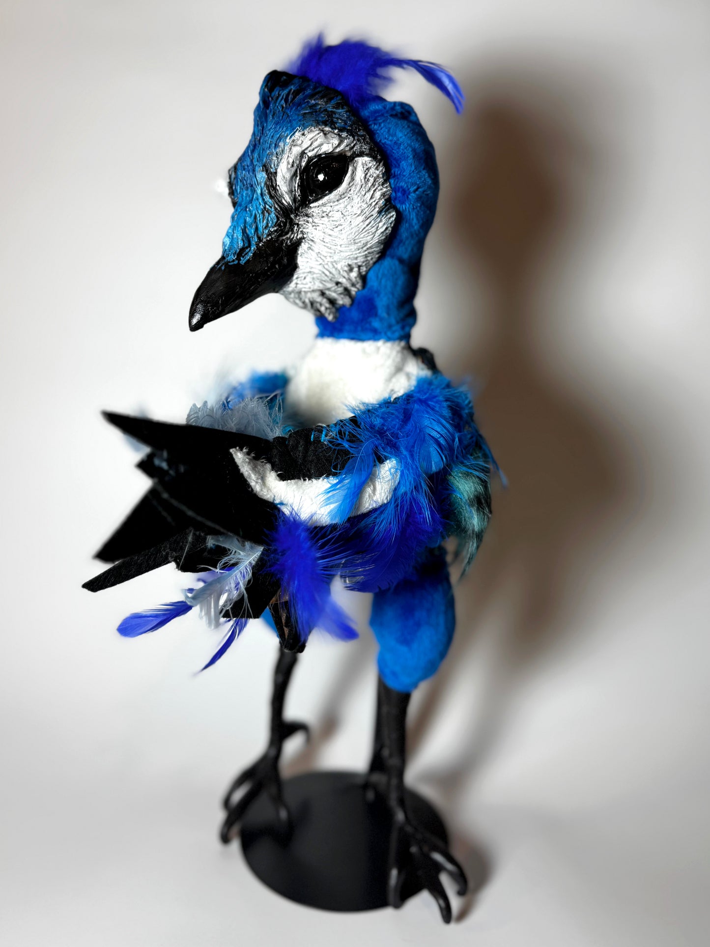 Blue Jay Poppet