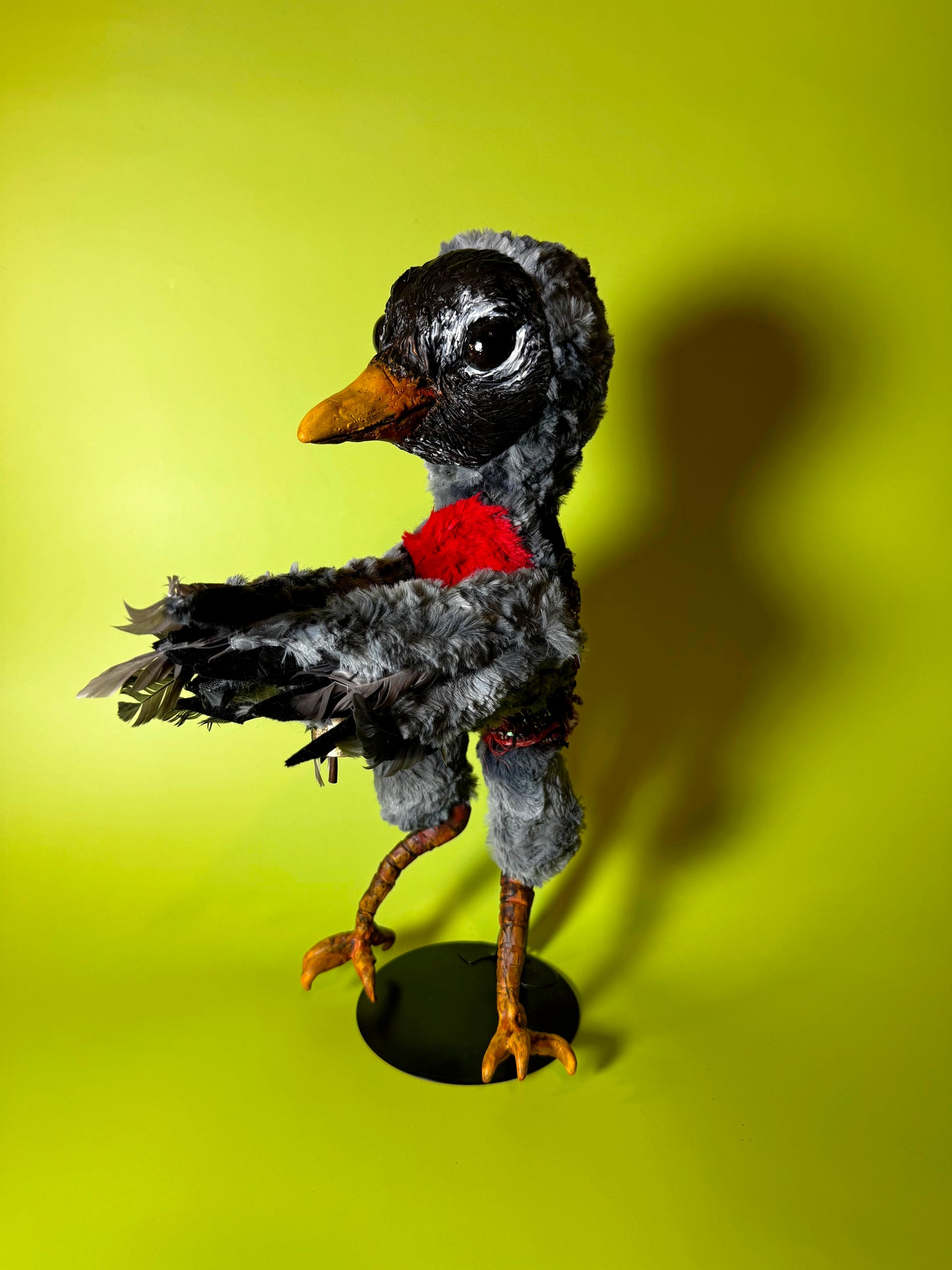 Robin Poppet