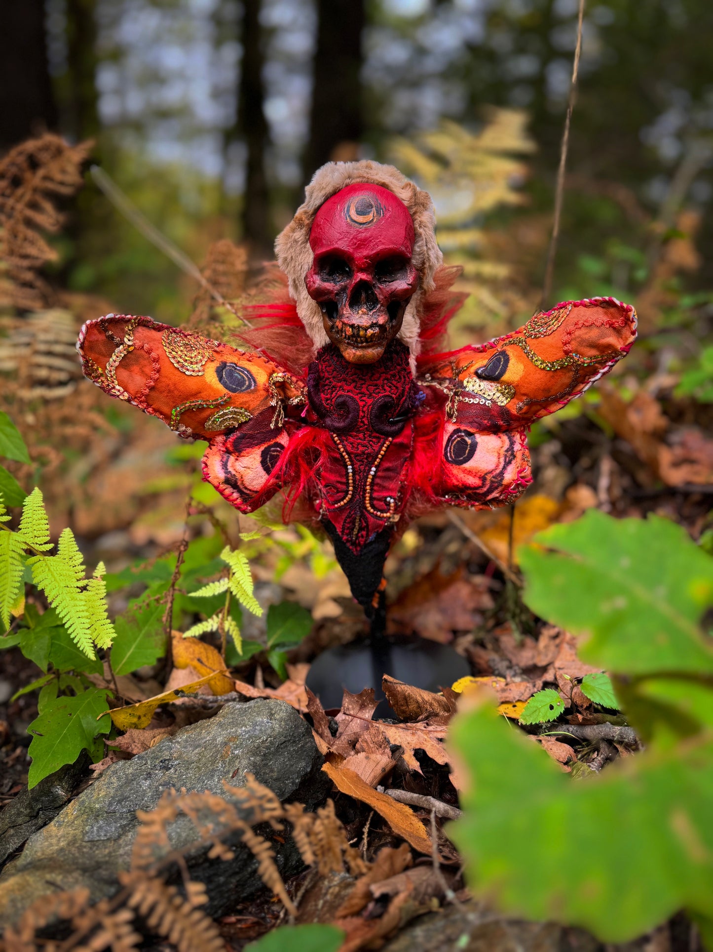 Moth Poppet - Emperor Moth (Saturnia pyri)