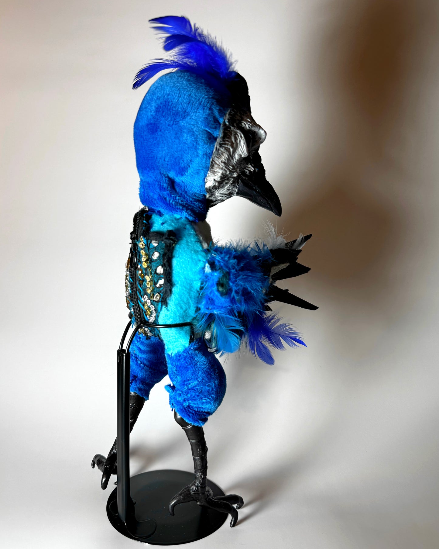Blue Jay Poppet