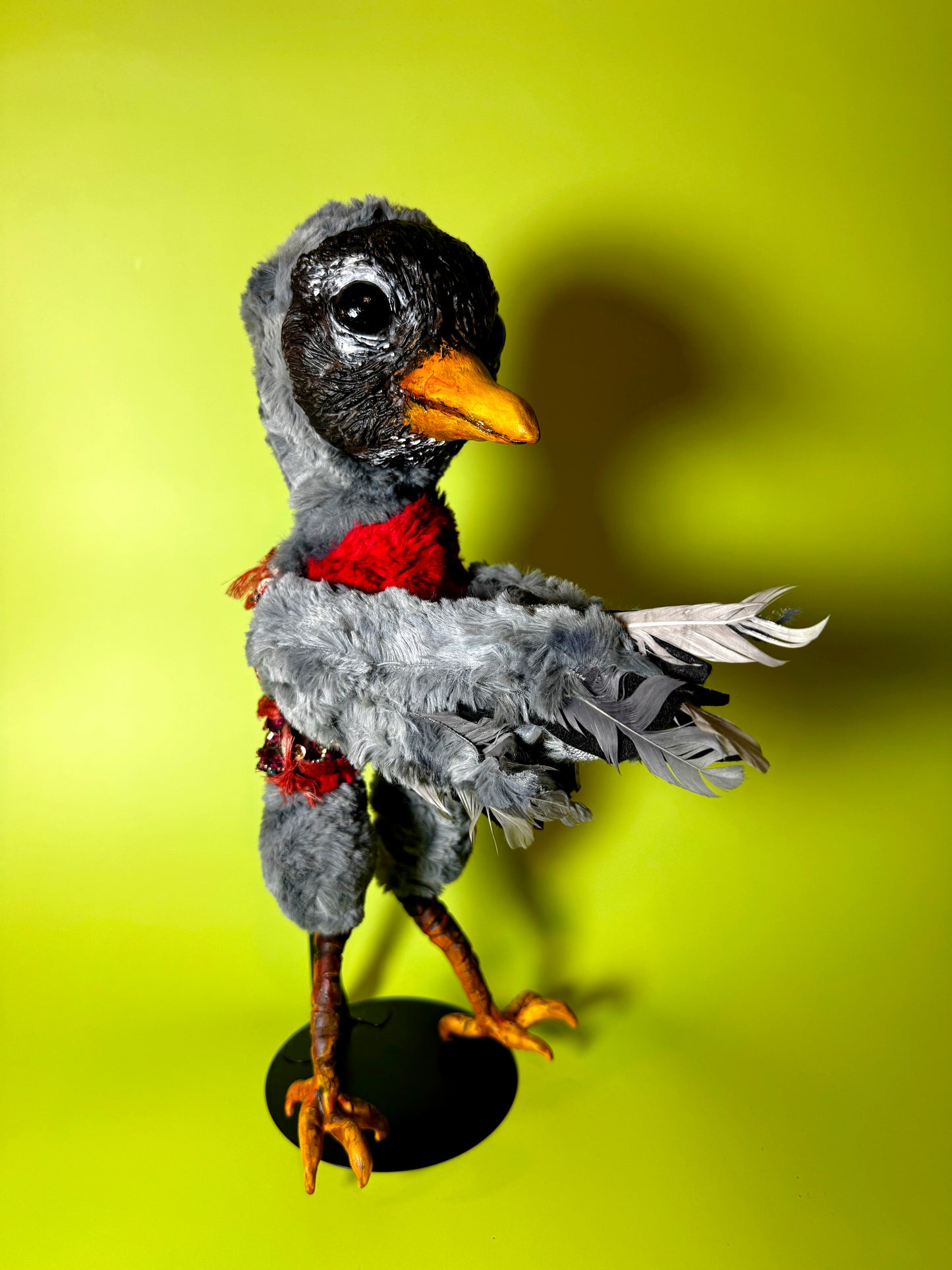 Robin Poppet