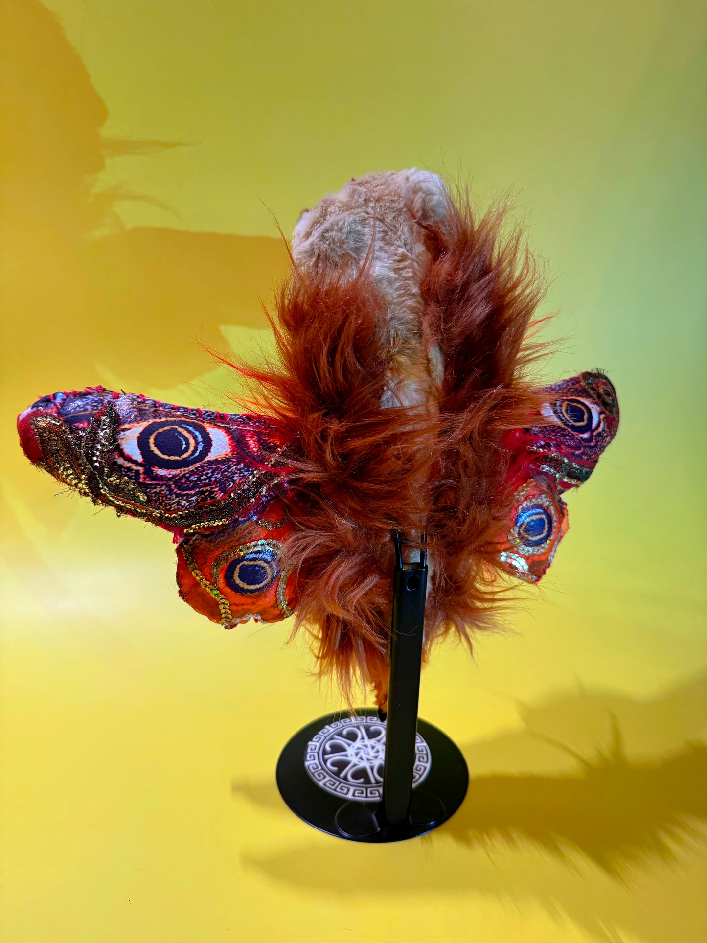 Moth Poppet - Emperor Moth (Saturnia pyri)