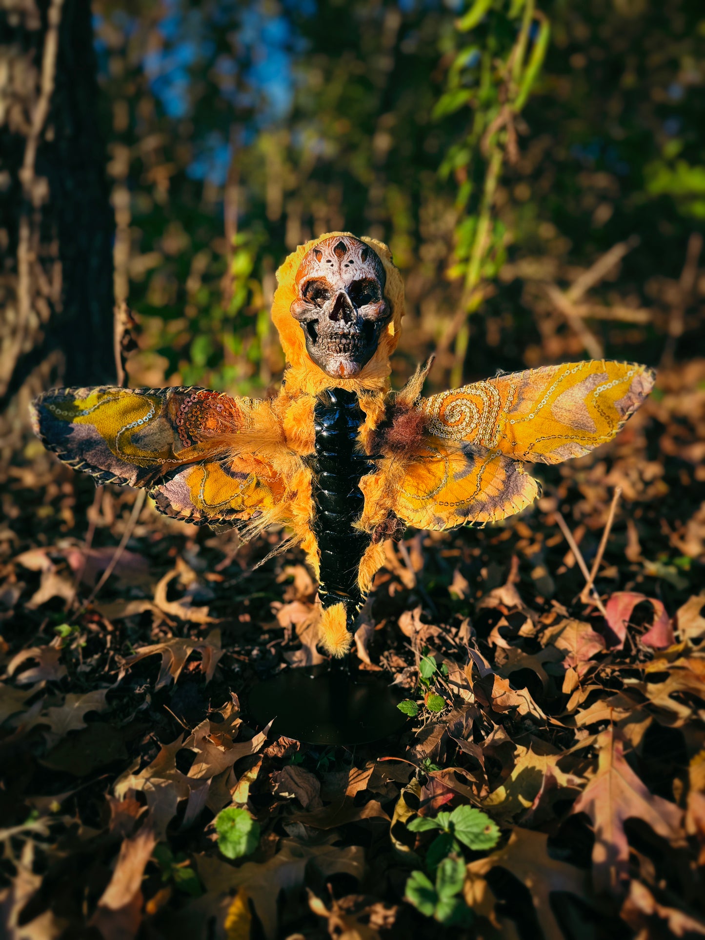Moth Poppet - Deaths-head Hawkmoth (Acherontia atropos)