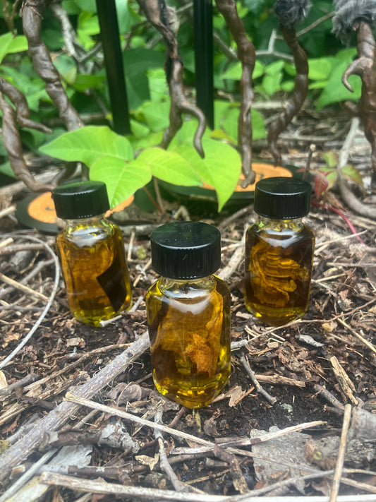 The Oil Bufo by Haus of Ophidious